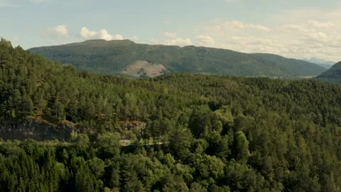 Scandinavia Aerial View over Rolling Green Forested Hills and Mountains Stock Footage 331167006