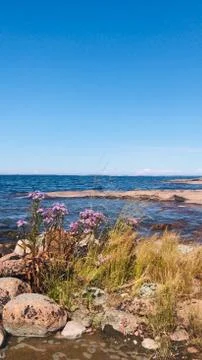 Scandinavian archipelago Stock Photos