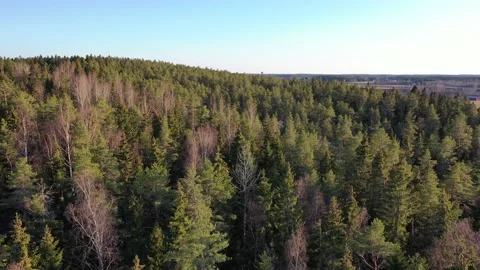 Scandinavian Spring On The Hills Stock Footage 191086319