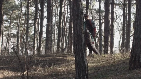 Scandinavic tribe of vikings are coming to fight with knigts in wild forest.  Video stock 124969828