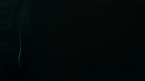 Scanner in office, copying documents. Stock Footage 127108826