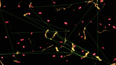 Scanning and tracking mutating virus. Lines connect dots. 3d animation render Stock Footage 148506278