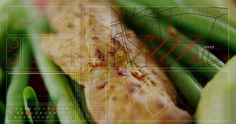 Scanning augmented reality system analyzing tan-brown plant stem at lab bench, Stockfoto's