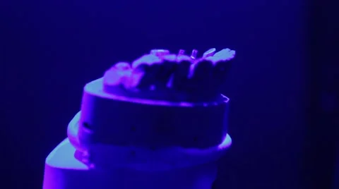 Scanning a dental prosthesis Stock Footage 49440689