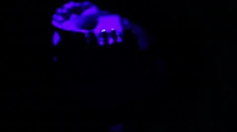 Scanning a dental prosthesis Stock Footage 49440692