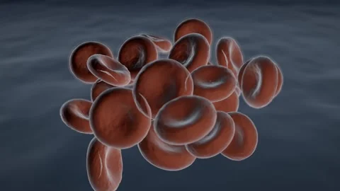 Scanning electron micrograph red blood cell cluster loop Видео 343137774