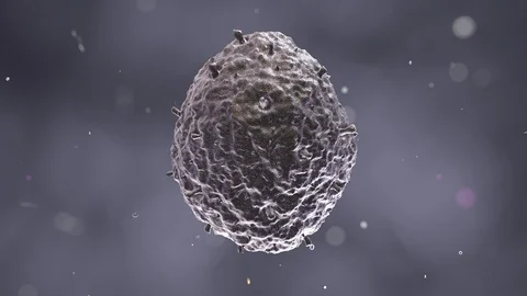 Scanning Electron Microscope Image of the H1N1 Virus Stock Footage 89779096