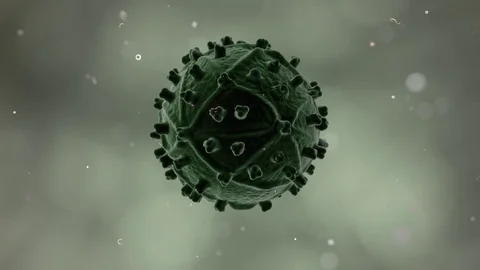 Scanning electron microscope image of the HIV virus - Virus 004 HD, 4K Stock Footage 74488479