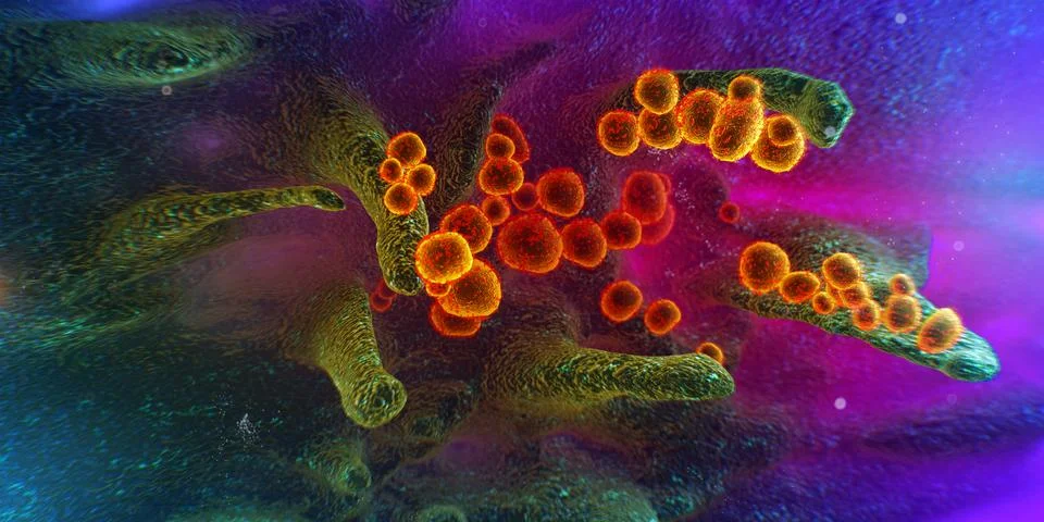 Scanning electron microscope image shows SARS-CoV-2, 2019-nCoV, the deadly vi Illustrazione stock