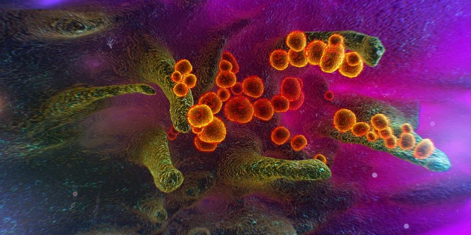 Scanning electron microscope image shows SARS-CoV-2, 2019-nCoV, the deadly vi Stock Illustration