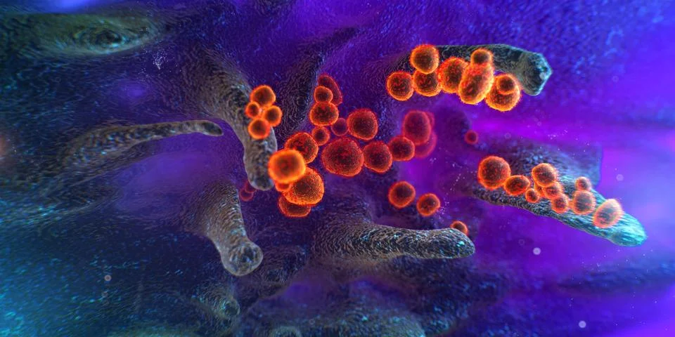 Scanning electron microscope image shows SARS-CoV-2, 2019-nCoV, the deadly vi Stock Illustration