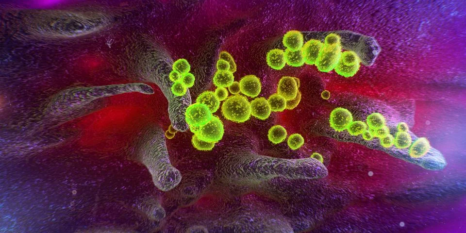 Scanning electron microscope image shows SARS-CoV-2, 2019-nCoV, the deadly vi Stock Illustration