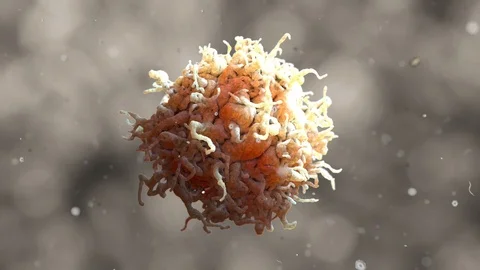 Scanning Electron Microscope Image of a White Blood Cell Stock Footage