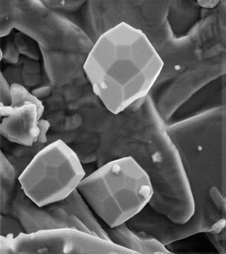 A scanning electron microscope photograph of iron crystals which grow in a .. Stock Photos