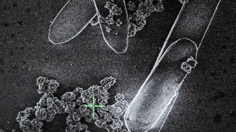 Scanning Electron Microscope (SEM) Image of a Magnified Sample in the Laboratory Video stock 111334376