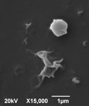 Scanning electron microscope (SEM) micrography of nanotechnology liposomes Stock Photos