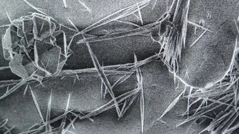  	A Scanning Electron Microscope Showing a Magnification.  Stock Footage 108375291