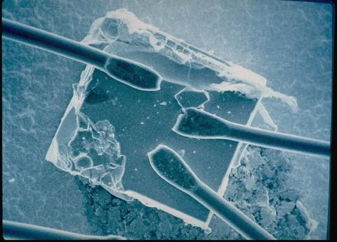 Scanning electron microscopy of large single crystal of Y1 BA2 CU3 OX1 supercond Foto stock