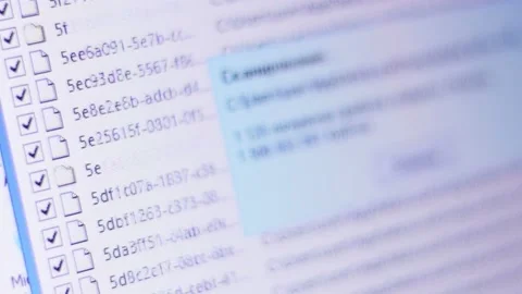 Scanning files on the computer Vidéo 139495932