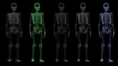 Scanning the human skeleton in a digital matrix is a futuristic interface. Stock Footage 318586652