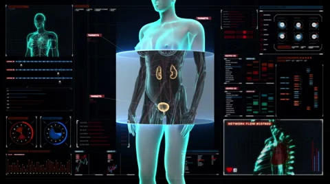 Scanning kidneys in female body in digital display dashboard. X-ray view Stock Footage