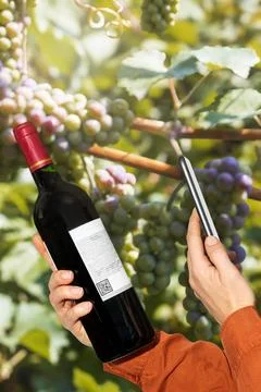 Scanning reading digital label on wine bottle. Stock Photos