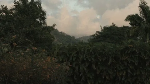 Scape1 動画素材 104882598