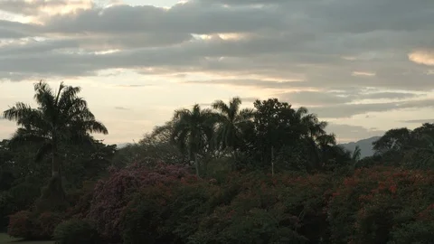 Scape2 動画素材 104882756