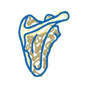 Scapula bone icon doodle illustration Stock Illustration