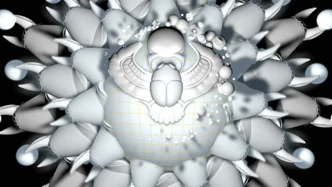 Scarab beetle Video stock 155584483