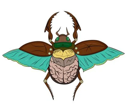 Scarab beetle Stock-Illustration