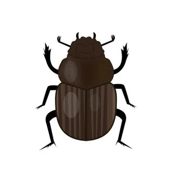 Scarab beetle insect icon, flat style. Symbol of ancient Egypt. Isolated on Stock Illustration
