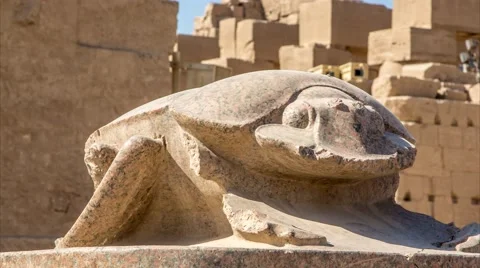 Scarab in Luxor Temple in Egypt Stock Footage 62679803