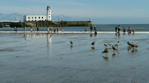 Scarborough beach Stock Footage 52790468