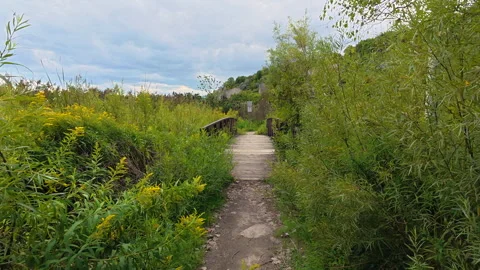 Scarborough Bluffs Trail Stock Footage 343591149