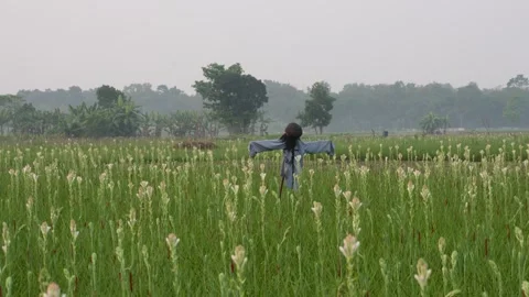 Scarecrow Amid Field 스톡 동영상 328526869