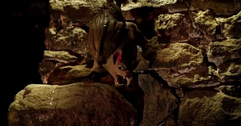 Scarecrow bat in the basement Stock Footage 79165799