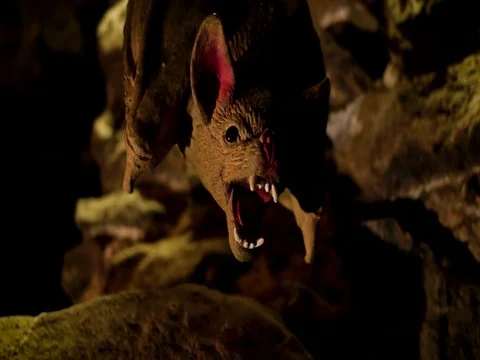 Scarecrow bat in the basement Stockbeeldmateriaal 79165865