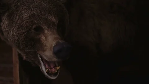 Scarecrow of a bear. Open mouth. Stock Footage 73963246