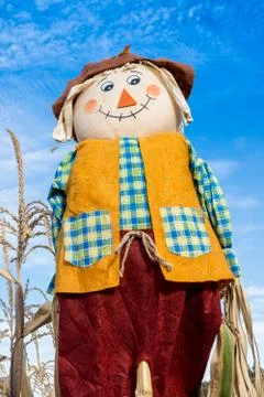 Scarecrow in a Corn Field Stock Photos