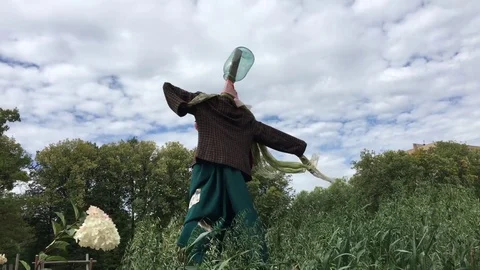 Scarecrow in the field Vidéo 83048982