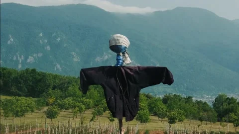 Scarecrow at field. Stock Footage 198736294