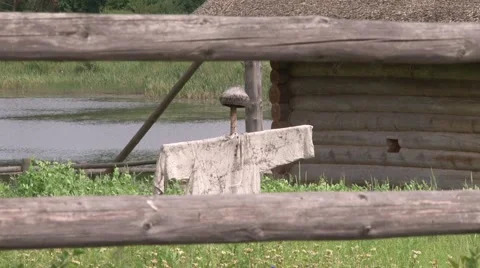 Scarecrow Stock Footage 908365