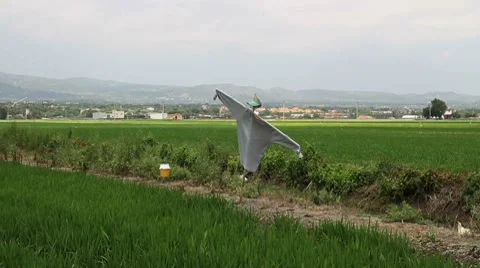 Scarecrow Vidéo 7757204