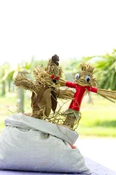 Scarecrow in garden Stock Photos