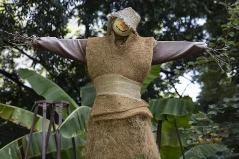 Scarecrow guarding an autumn garden patch Stock Photos