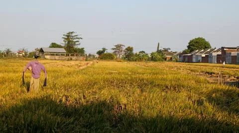 Scarecrow on the left side Stock Photos