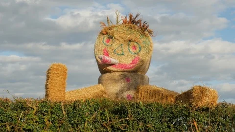 Scarecrow made out of straw bales in hedge row Stock Footage 116995732