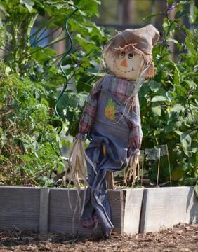 Scarecrow Fotos de archivo