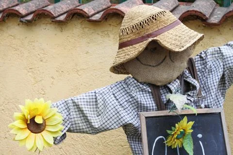 Scarecrow Stock Photos